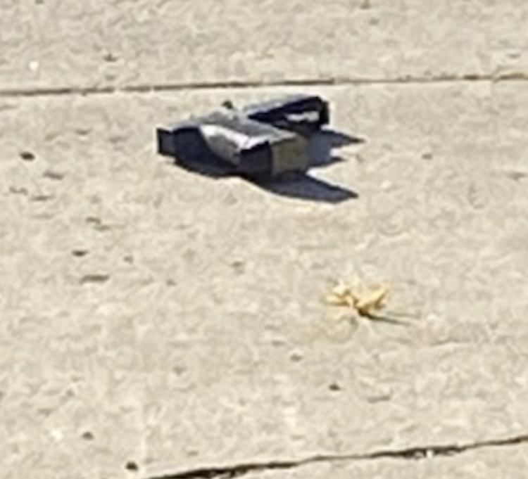 DRIVEBY SHOOTING IN CITY, TWO NABBED IN FREDONIA News, Sports, Jobs